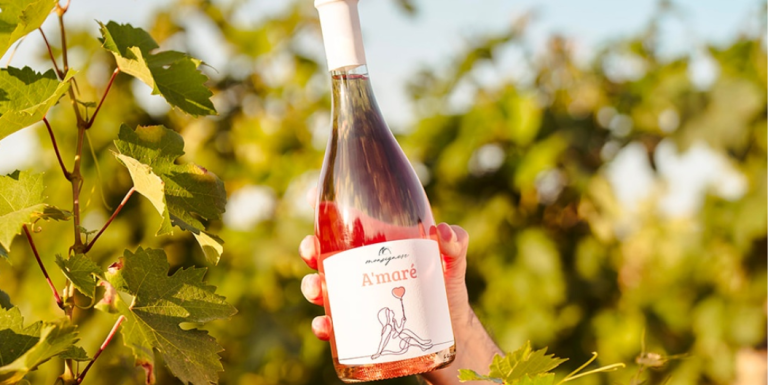 Come nasce il vino: dall’uva alla bottiglia